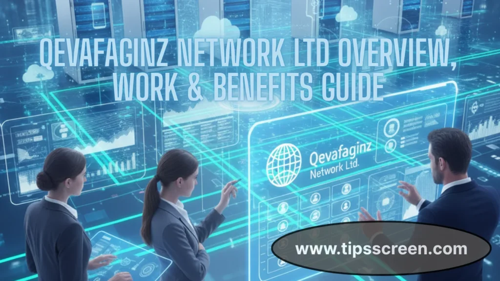 Qevafaginz-Network-Ltd-Overview-Work-Benefits-Guide