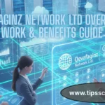 Qevafaginz-Network-Ltd-Overview-Work-Benefits-Guide